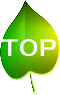 TOPページへ